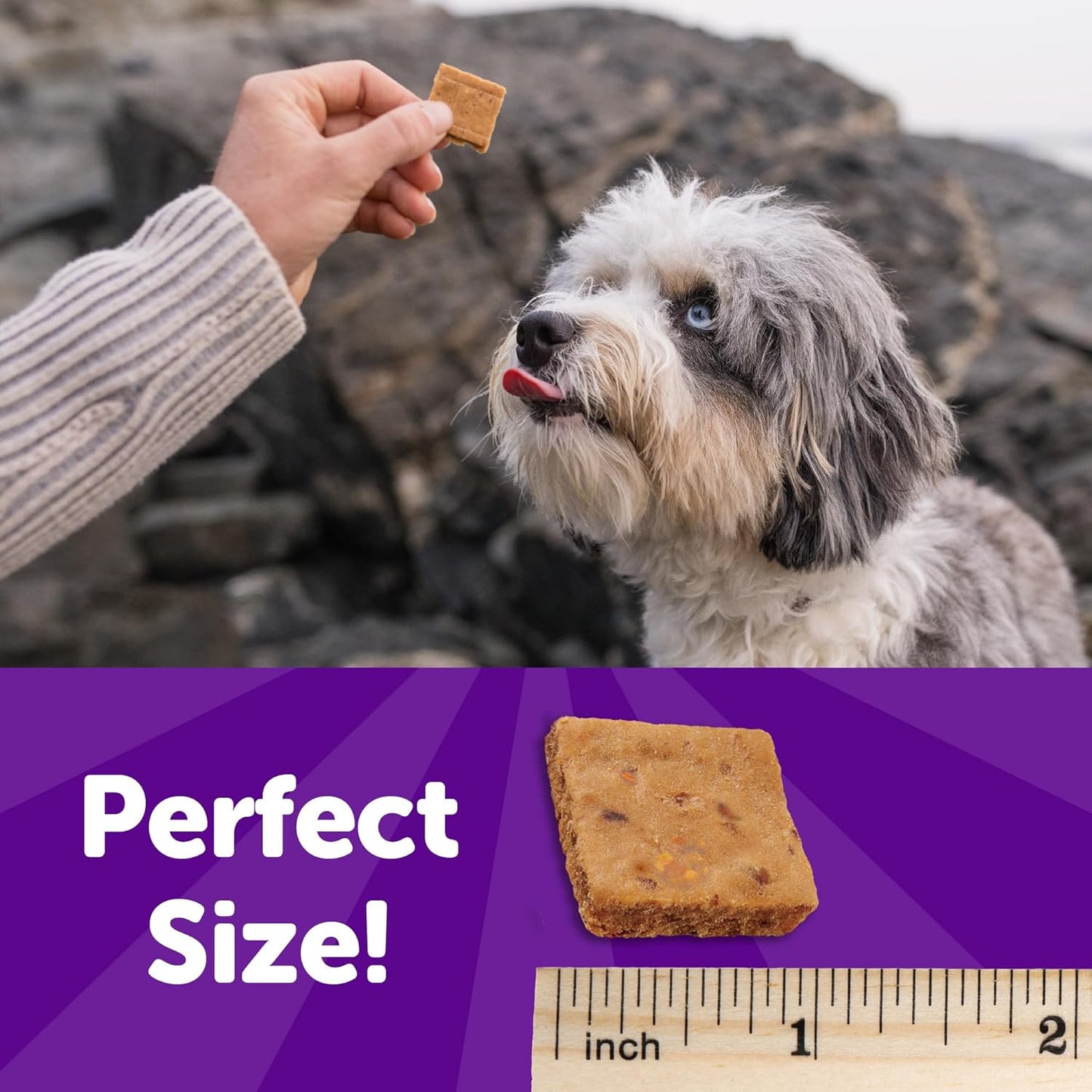 Rewarding Life Dog Treats, Natural, Training Treat, Grain Free, Soft Turkey & Duck (6 Ounce Bag)