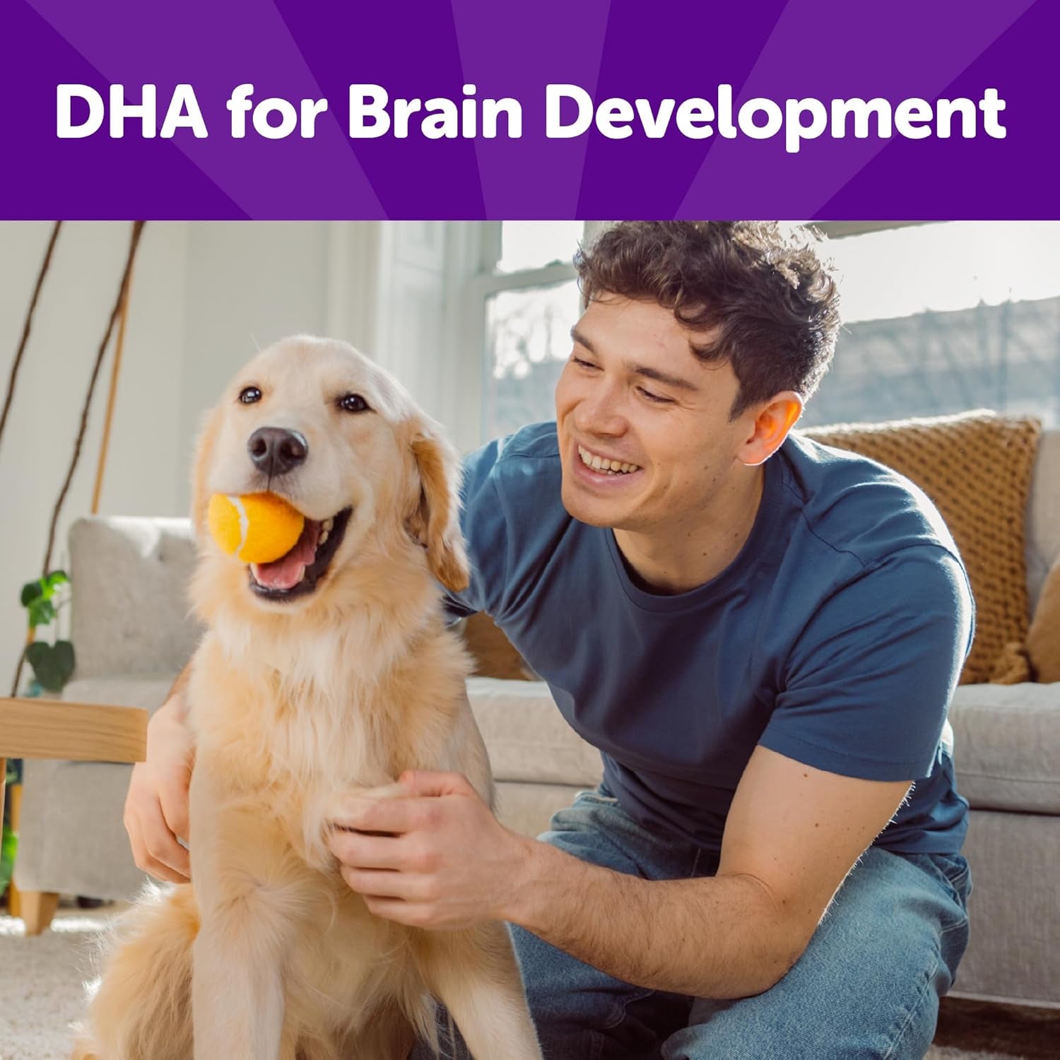 Rewarding Life Dog Treats, Natural, Training Treat, Grain Free, Soft Turkey & Duck (6 Ounce Bag)