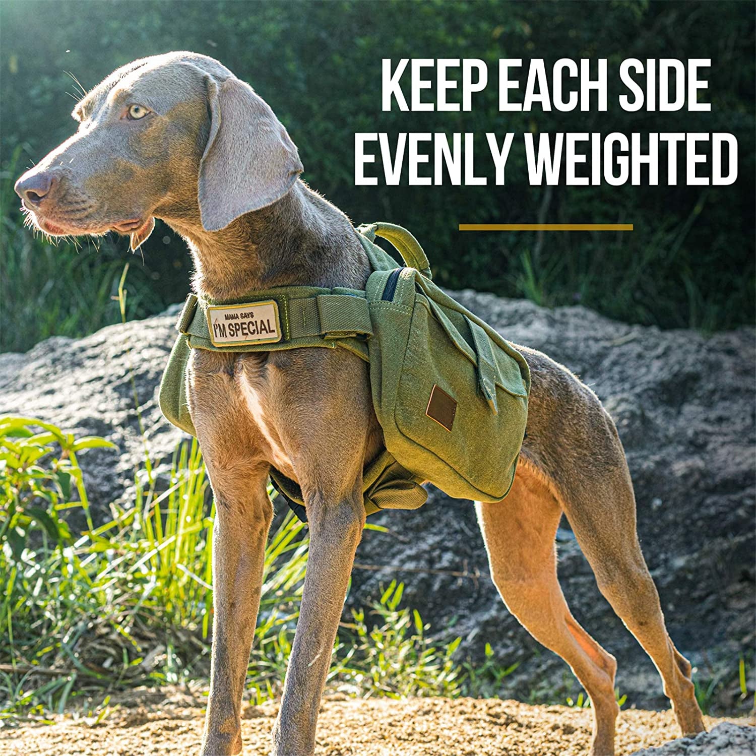 Dog Pack Hound Travel Camping Hiking Backpack Saddle Bag Rucksack for Medium & Large Dog (Ranger Green, Large)