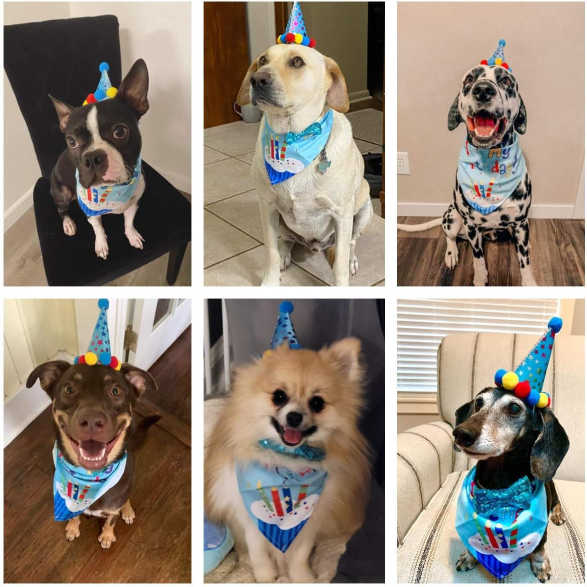 Dog Birthday Bandana Scarf and Blue Boy Pet Birthday Party Hat with Cute Bow Tie for Medium Large Dog Pet (Large)