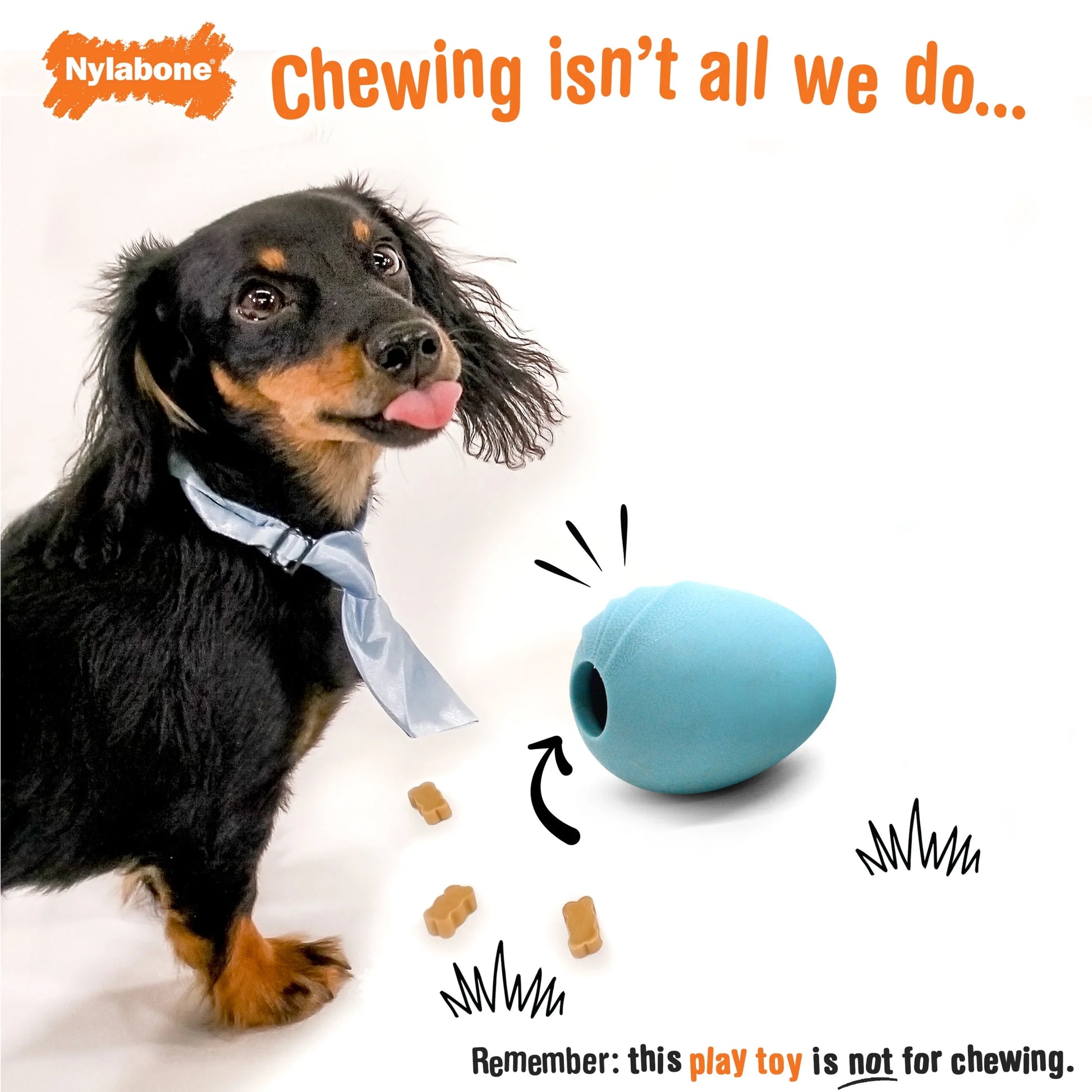 Eggi Interactive Dog Toy, Lightweight Bouncy Treat Toy, Creative Play & Exercise