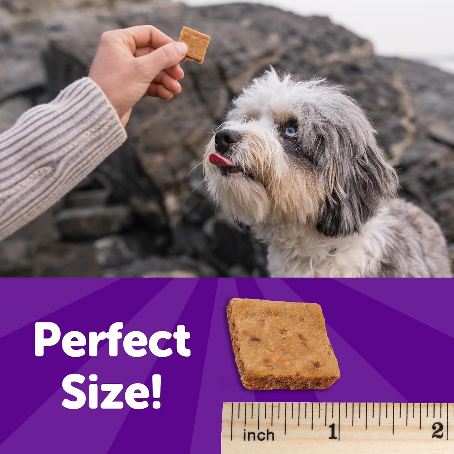 Rewarding Life Dog Treats, Natural, Training Treat, Grain Free, Soft Turkey & Duck (6 Ounce Bag)