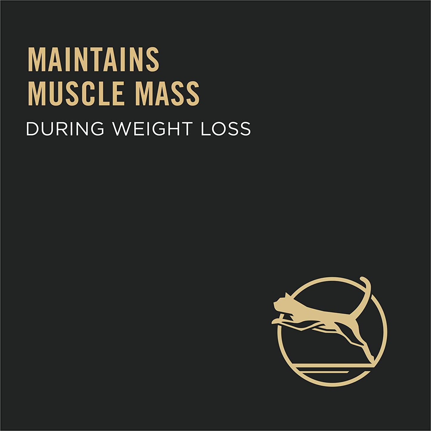 Live Clear Cat Food Weight Management and Cat Allergen Reducer Chicken and Rice Formula - 12.5 Lb. Bag